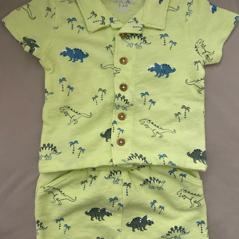 Dinosaur Print Baby Outfit